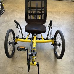 Terra Trike  - 20 Inch Wheels