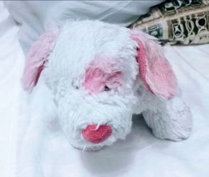 Rare HTF Webkinz Cream Soda Pup Ganz Retired.
