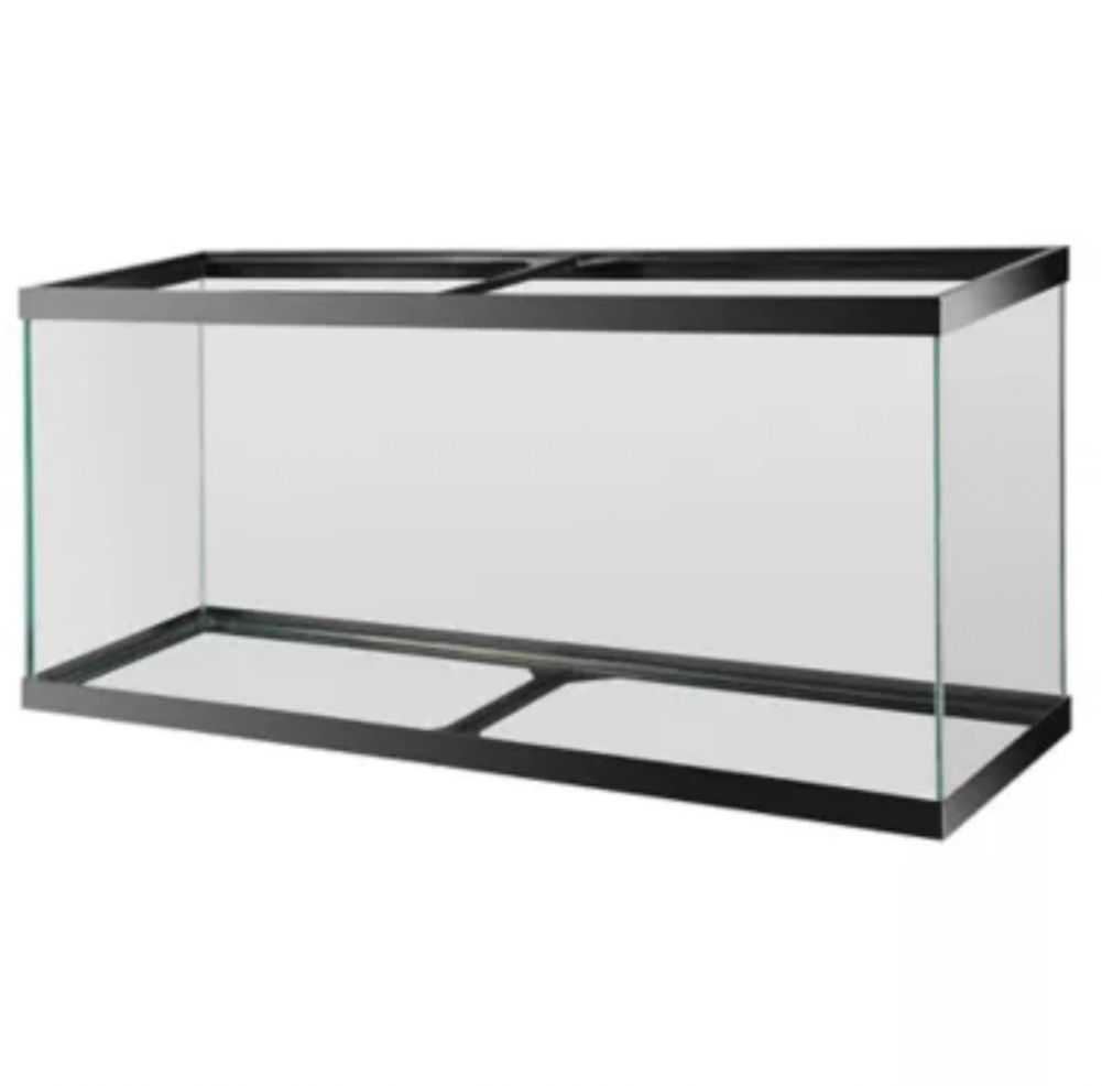 55 Gallon Aquarium