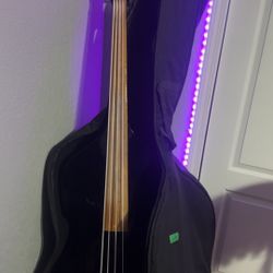 Tololoche/Up Right Bass Y Bajo Eléctrico/electric Bass 
