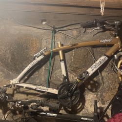 29” Pegasus & 17”  Schwinn Skyliner Frames 