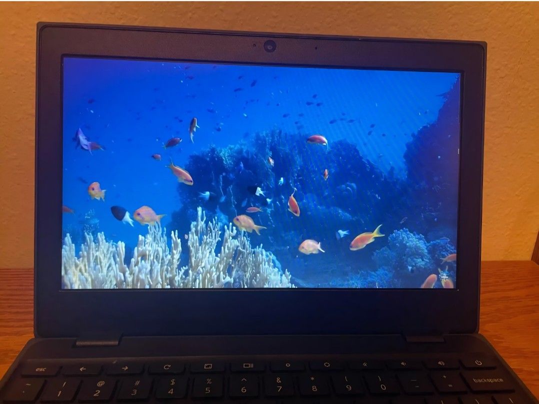 Lenovo Chromebook