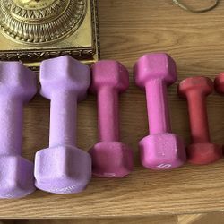 Ladies Barbell Weights 