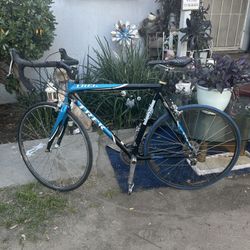  Trek Special Edition Bike