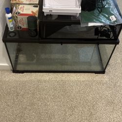 Complete 40-Gallon Reptile / Turtle Tank Setup – New Lamps, Filter, Decor 