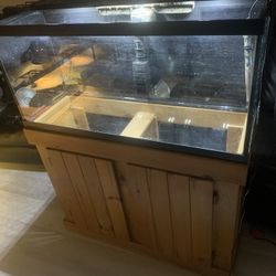 35 gallon long tank and wooden stand full aquatic setup