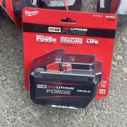 Milwaukee Forge 12.0