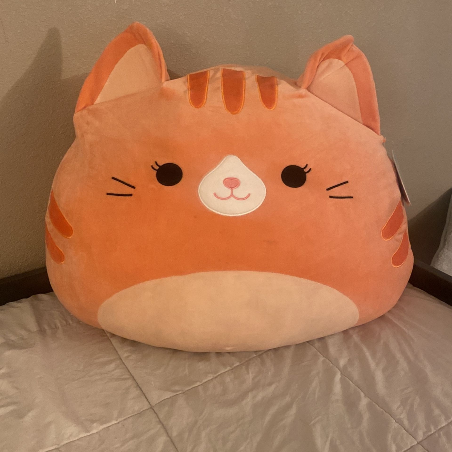 JUMBO Cat Squishmallows (Gigi) Ultra Rare