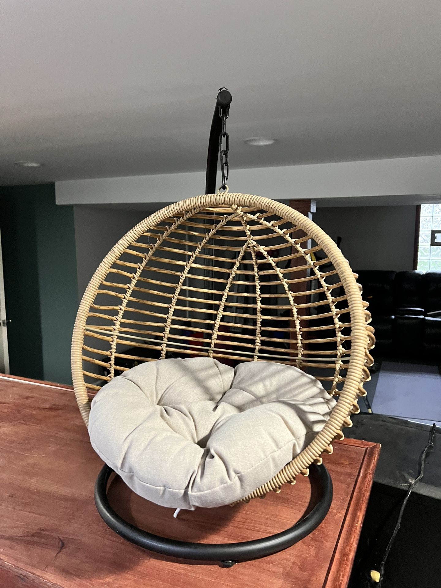 Hanging Pet Swing