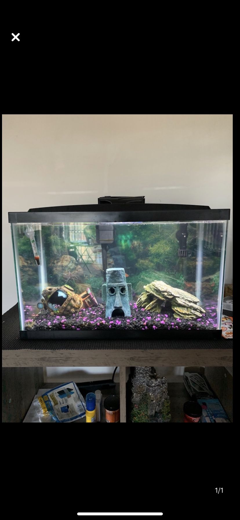 10 Gal fish tank