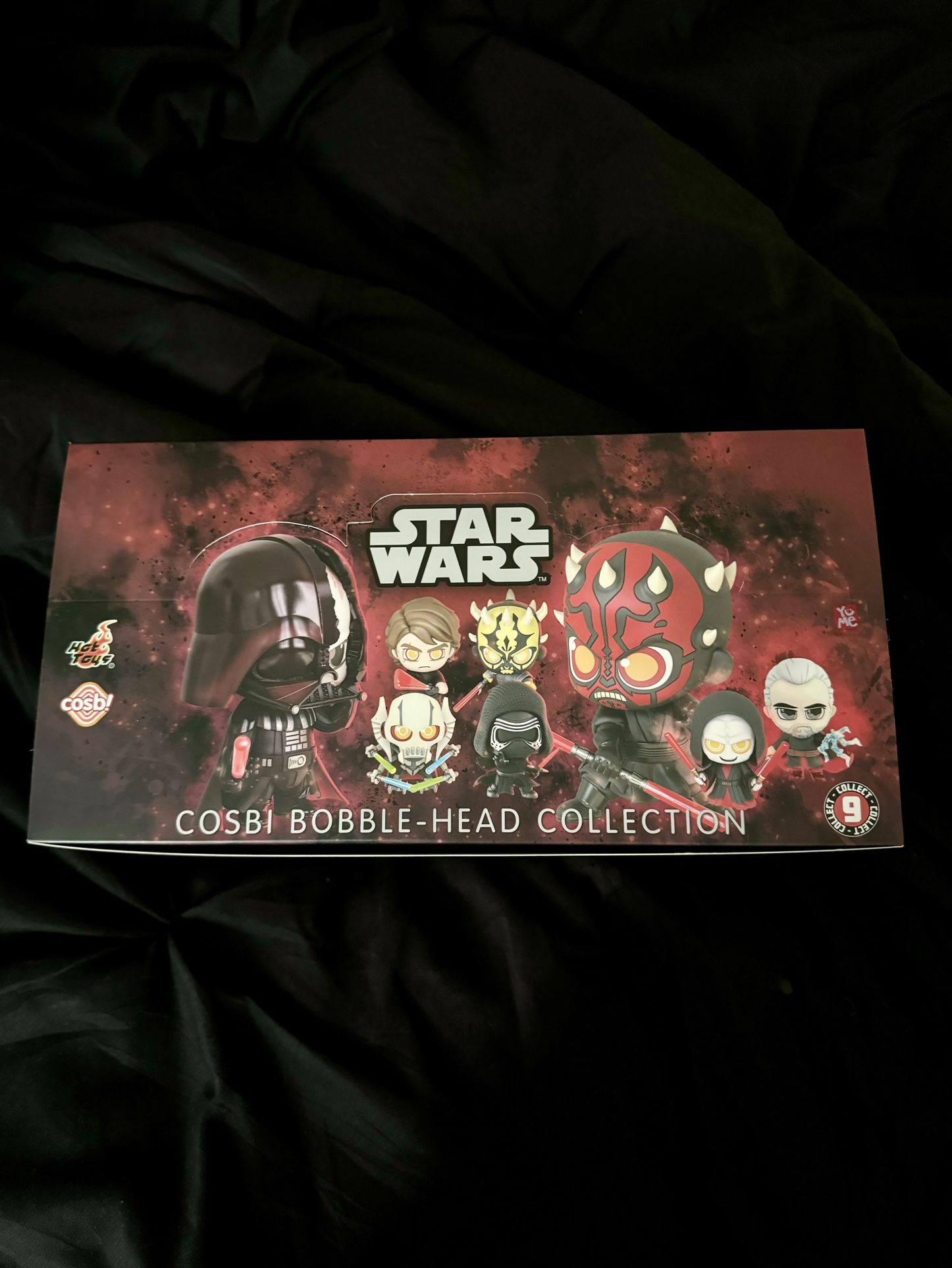 Star Wars Dark Side Cosbi Bobble Head Collection by Hot Toys - Blind Box