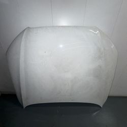Audi Hood 
