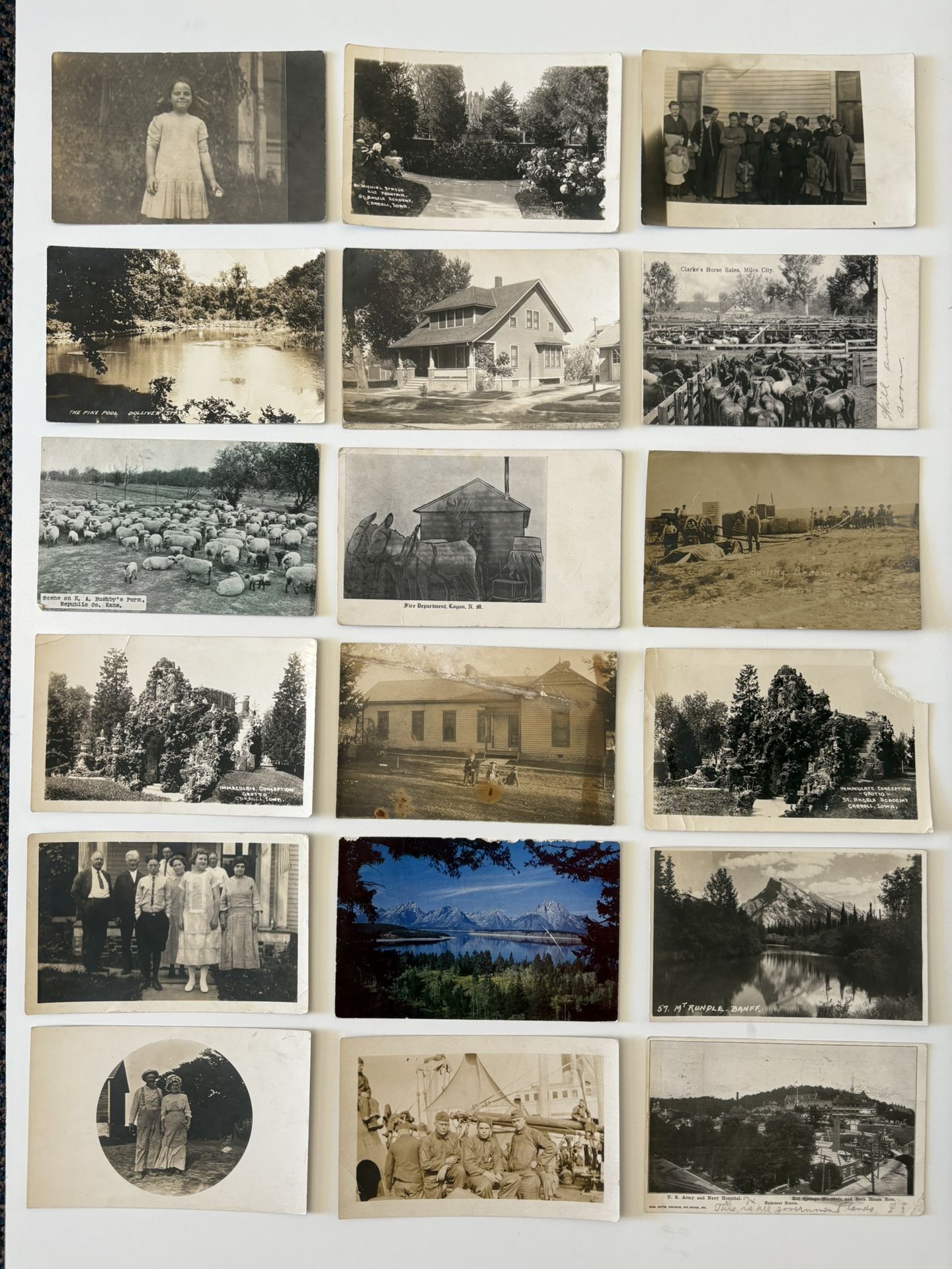 Penny 1 Cent Postcard Collection Early 1900’s