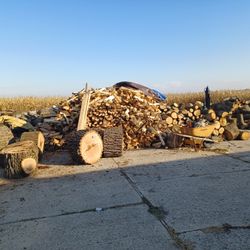 Firewood 