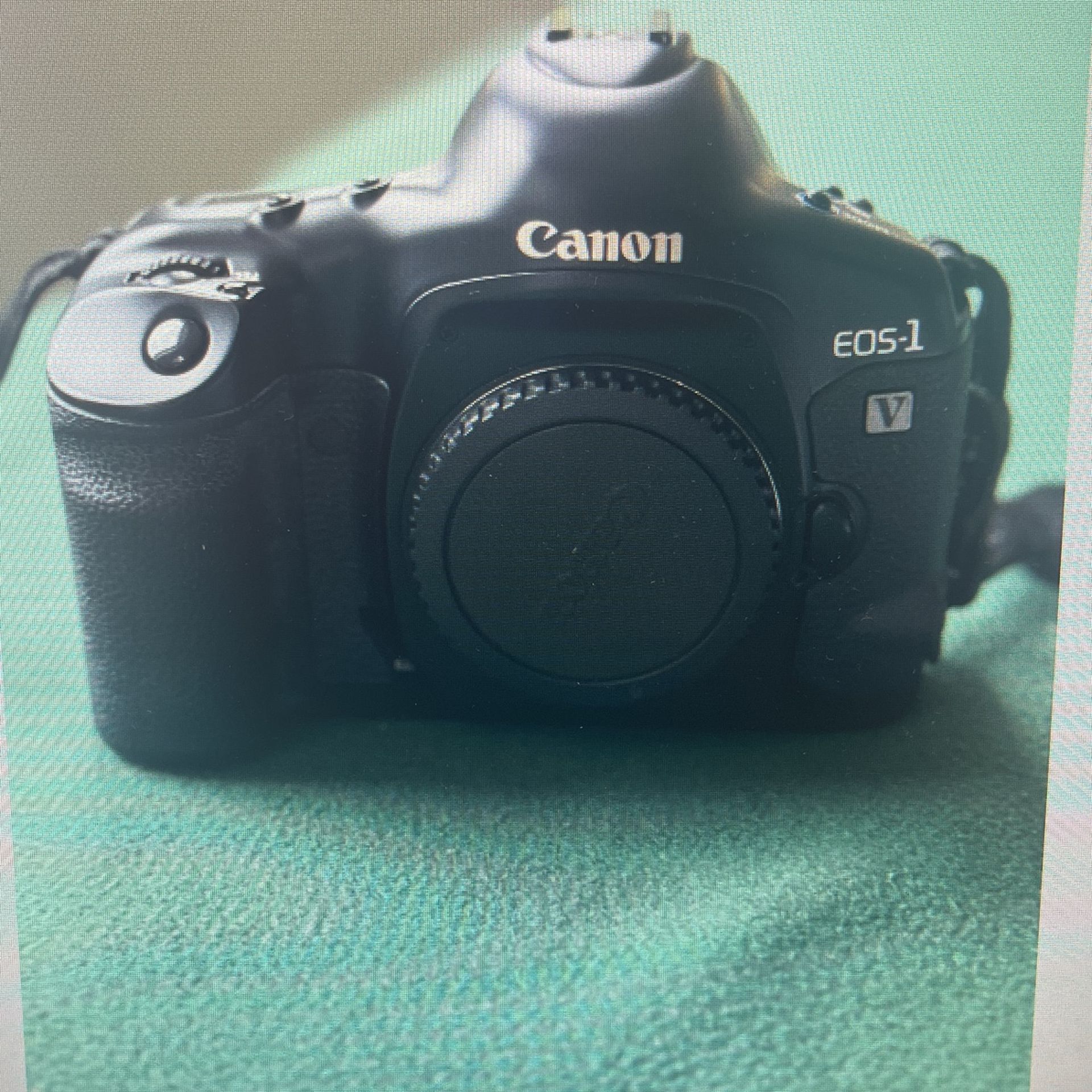Canina EOS-1V