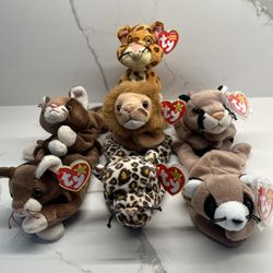 Ty beanie baby cats kittens cat beany babies Kitty 