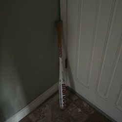 Cat X Marucci Baseball Bat 31” BBCOR -3 Used