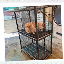 Pet Cages in Various Sizes to Match Every Animal small analysis
