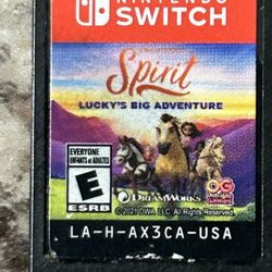 Spirit Lucky's Big Adventure - Nintendo Switch