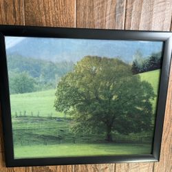 Holographic Season Changing Tree Picture