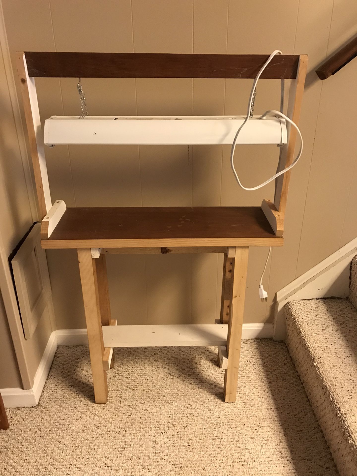 Light table for small plants or seeds
