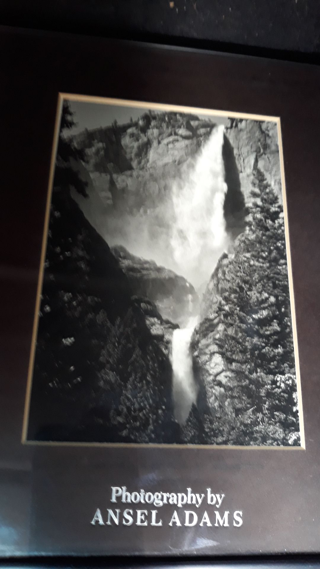 Ansel Adams Framed photographs