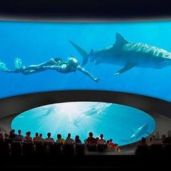 Georgia Aquarium Unlimited 