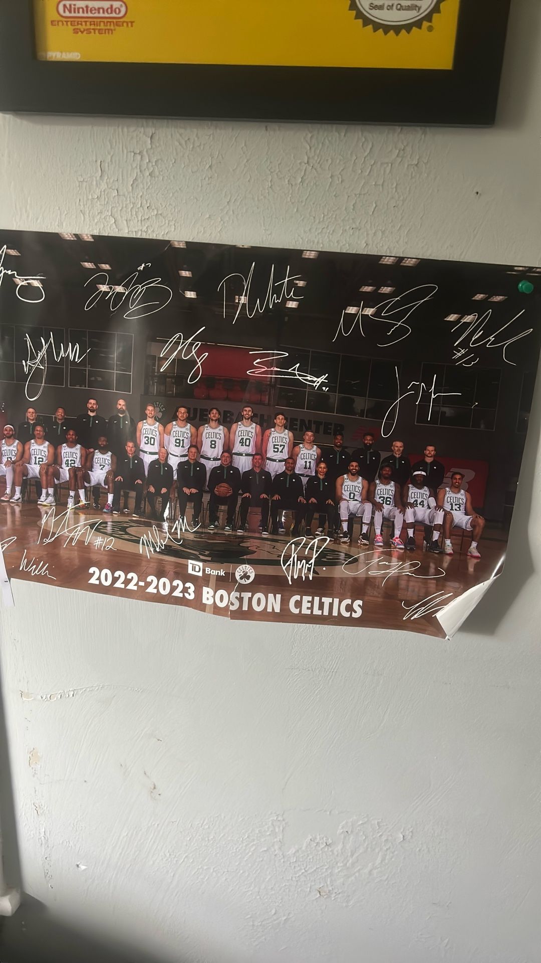 Signed Celtics Picture