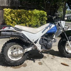86 Honda Fatcat