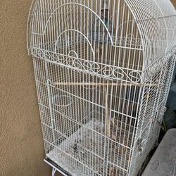 Bird Cage Large 