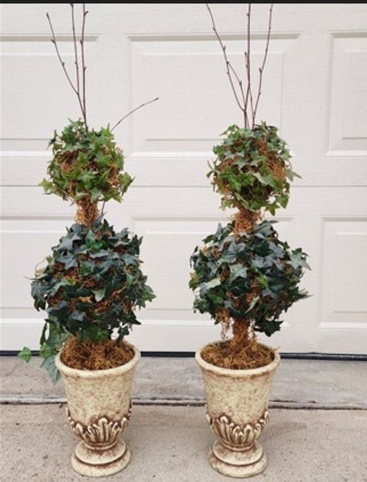 Home Decor: Set of 2: Potted Topiary Spheres