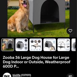 Elevted Dog House