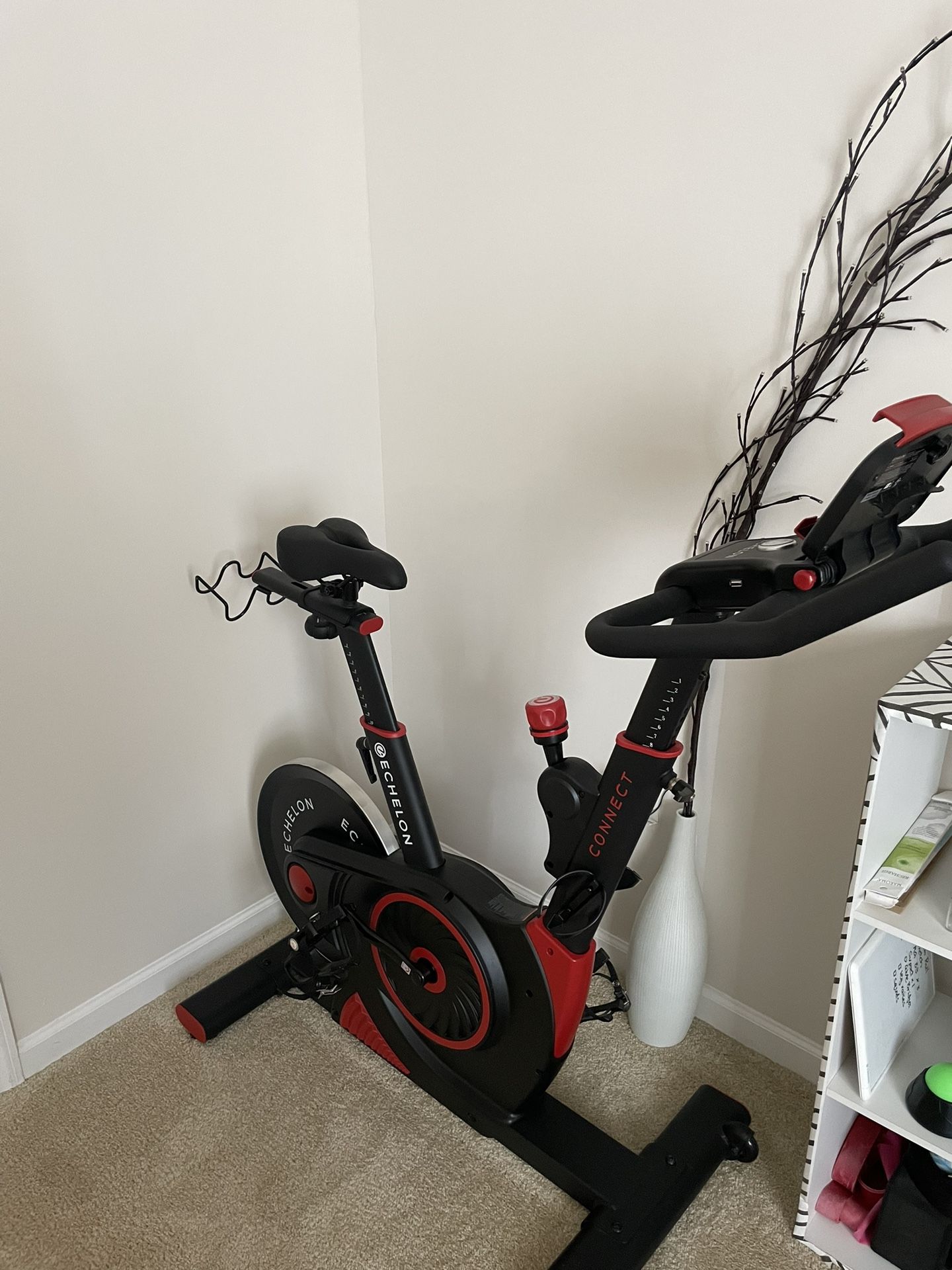 Echelon Stationary Bike