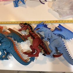 Dragons And Trex Dinosaurs 