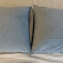  2 Square Pillows With Velvet Cushion Covers