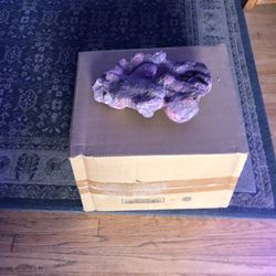 Saltwater rocks for sale