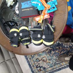 Doggy Shoes