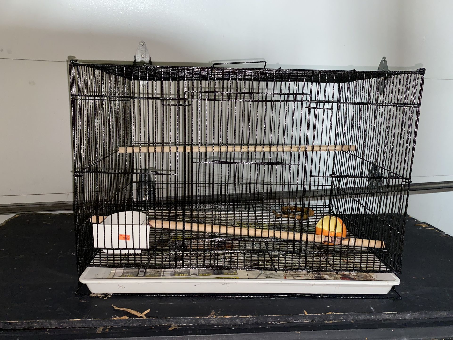 Bird Cage
