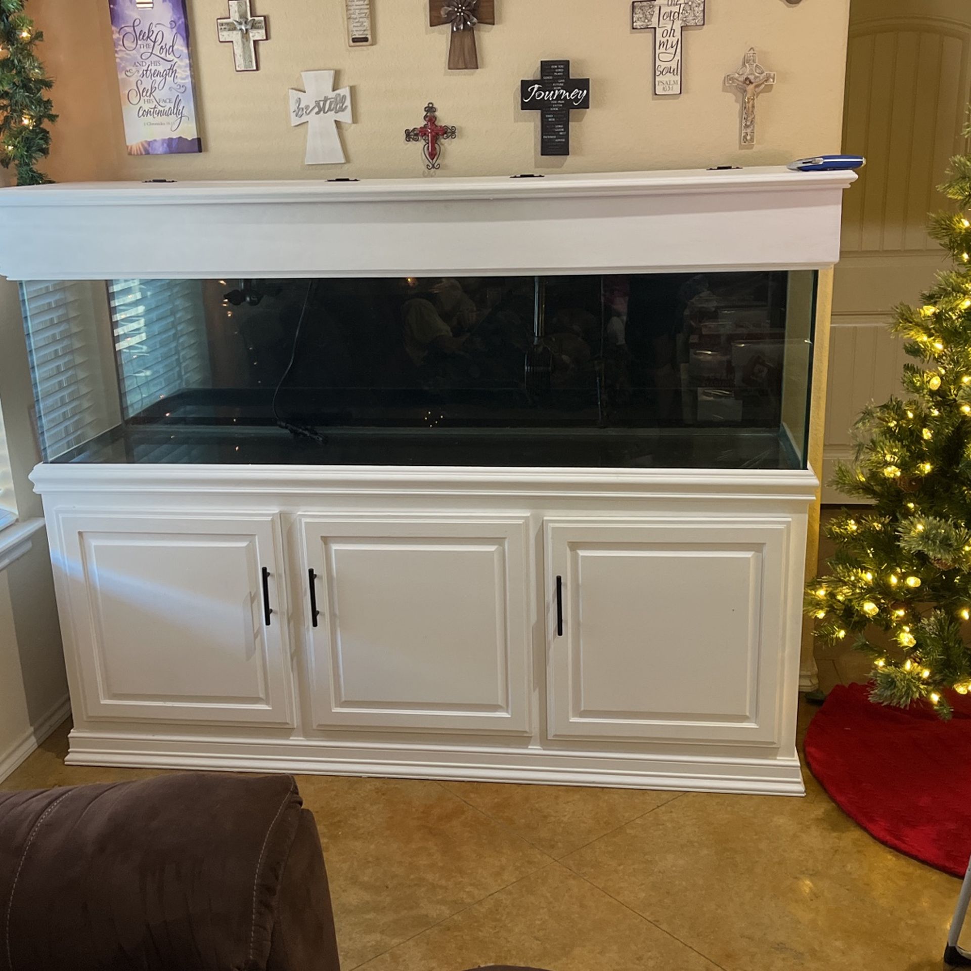 125g Fish Tank With 2 Fx4 Filters