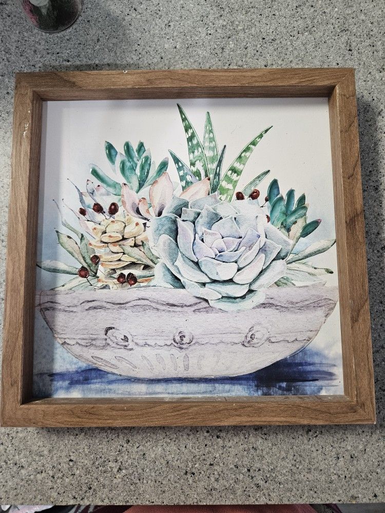 Succulent Garden Picture Frame
