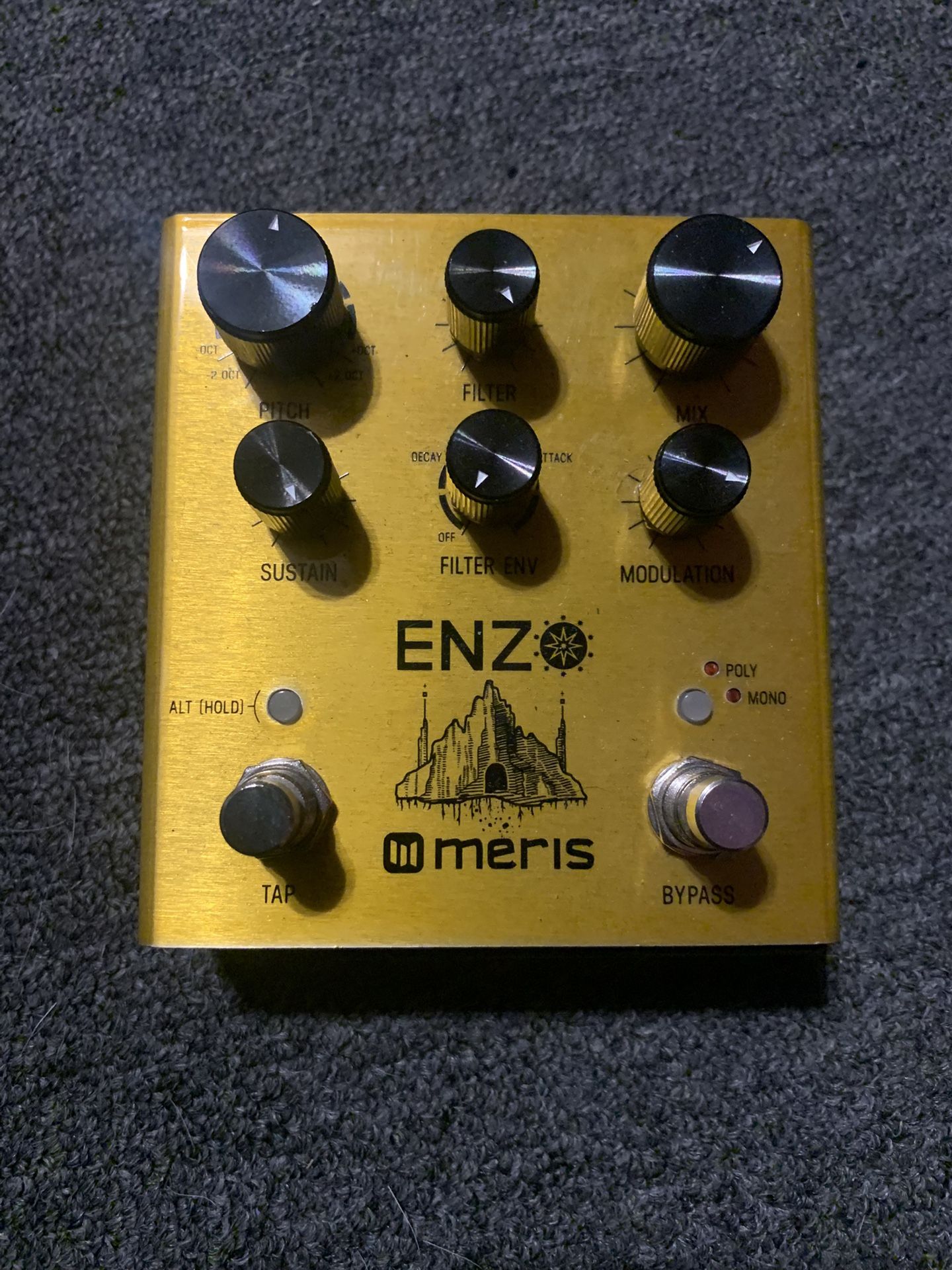 Meris Enzo Guitar Pedal