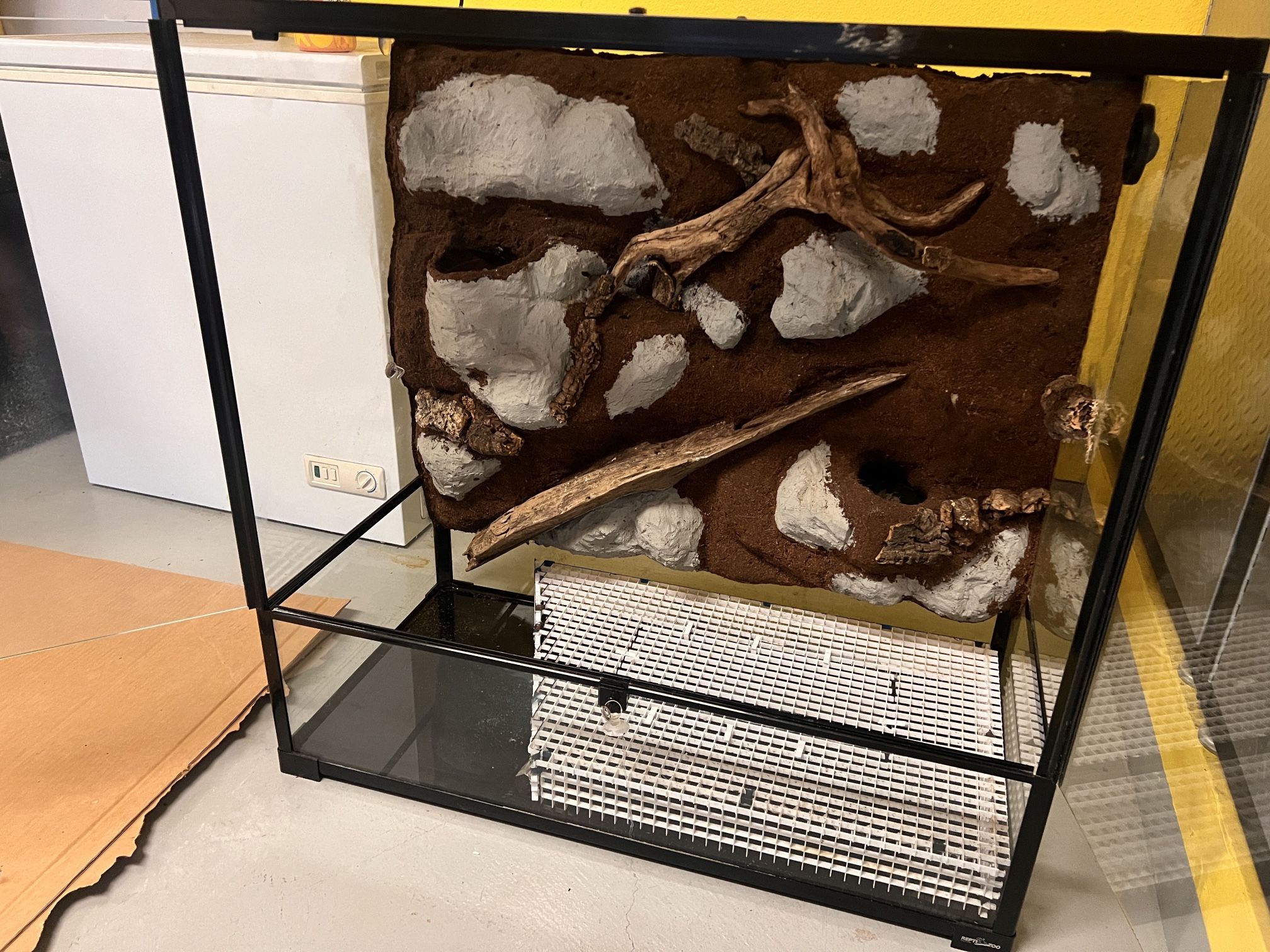 Extra Large Reptile Terrarium (lots of height)