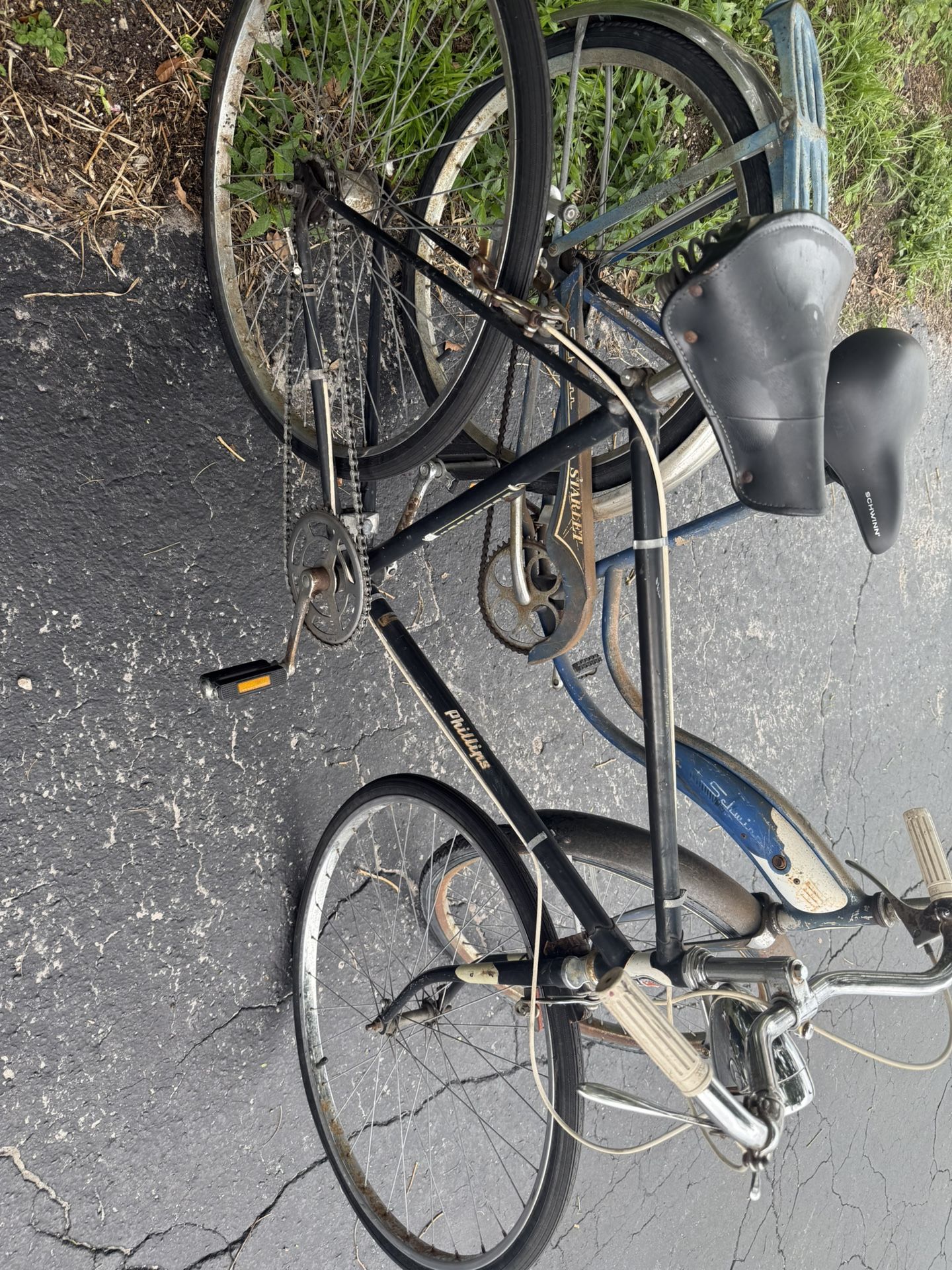 Phillips Old Vintage Bicycle