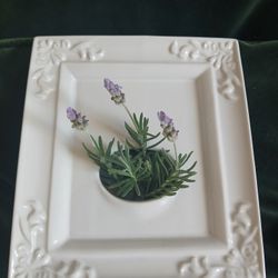 Picture Frame Vase - ceramic curiosity for cut flowers