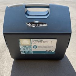 Igloo Playmate Elite 16 Qt. Cooler
