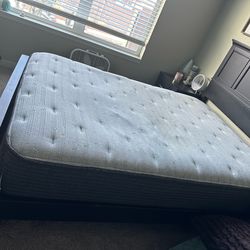 Queen Mattress