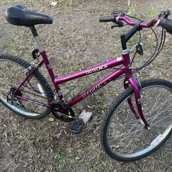 Outreach Magna 12 speed bike.