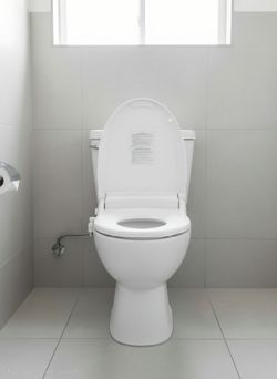 Brondell Swash CL1700 Electronic Bidet Toilet Seat - Elongated, White (Model CL1700-EW)