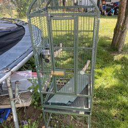 Bird Cage