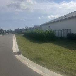 Clusias Perfect For Privacy All Sizes Available